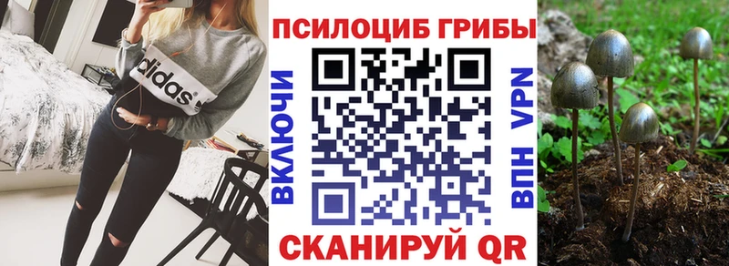 Галлюциногенные грибы Psilocybine cubensis  кракен ТОР  Инта 